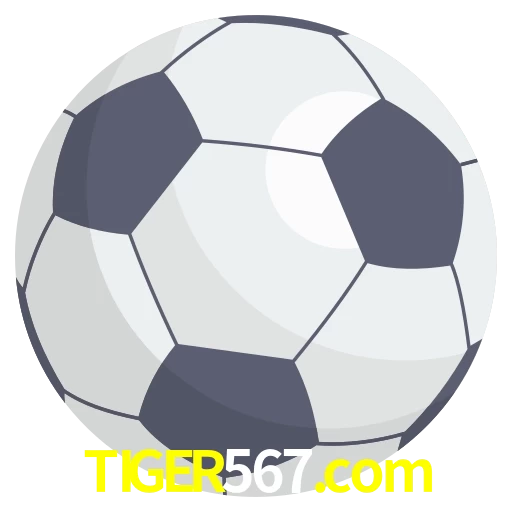Futebol